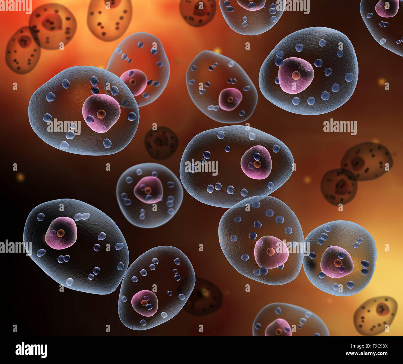 Conceptual image of mast cells. Stock Photo