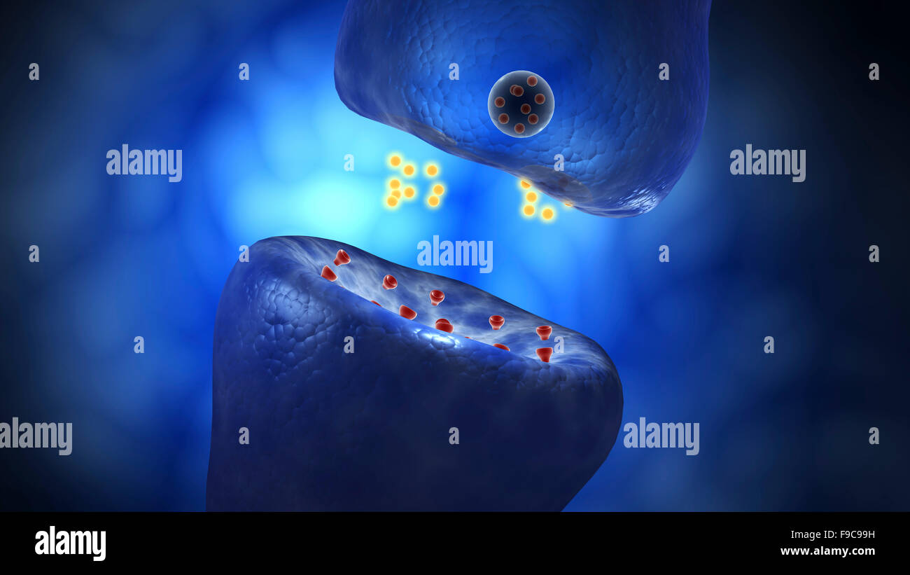 Nerve cell artwork science hires stock photography and images Alamy