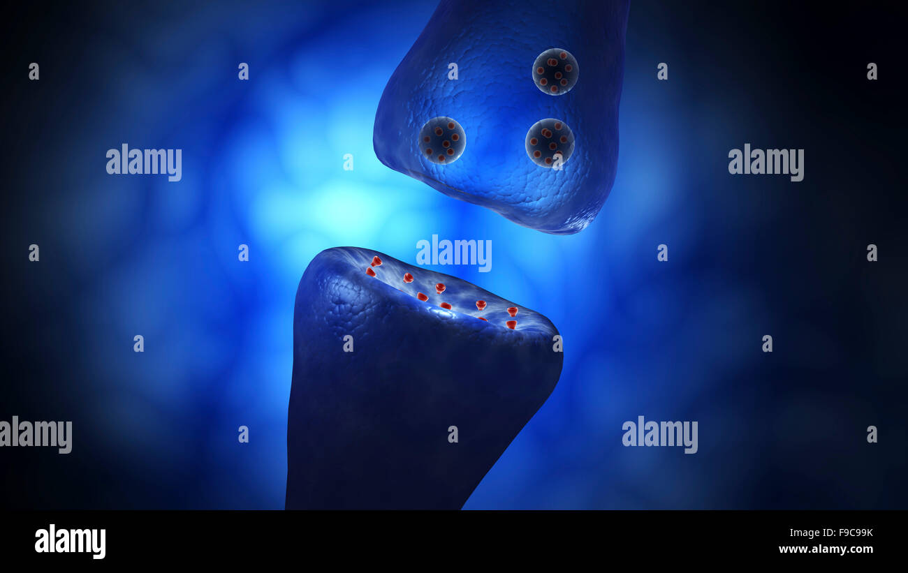 Conceptual image of synaptic vesicles. Stock Photo