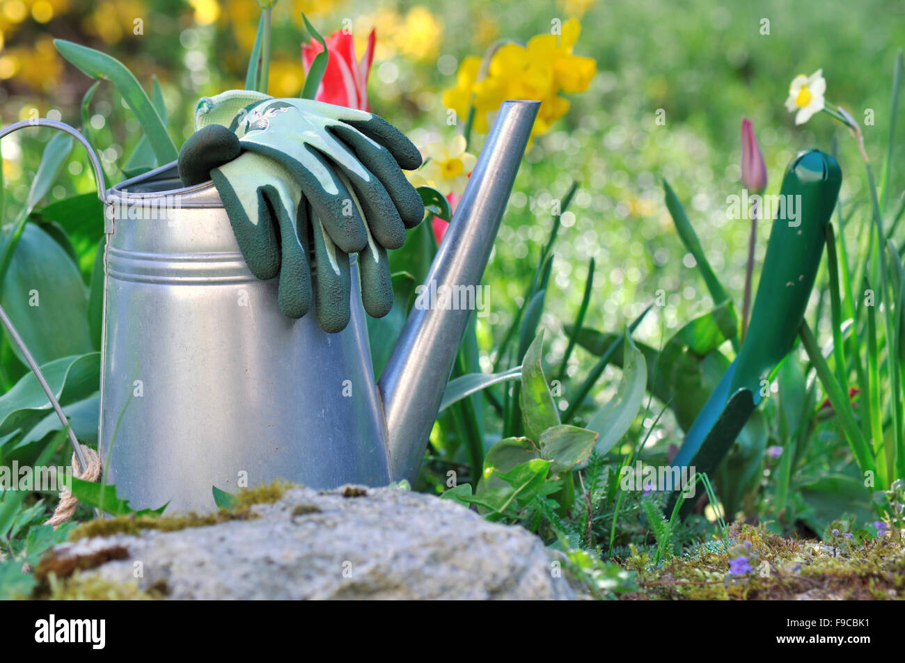 watering can, gloves ant dibble on the ground next to spring flowers Stock Photo