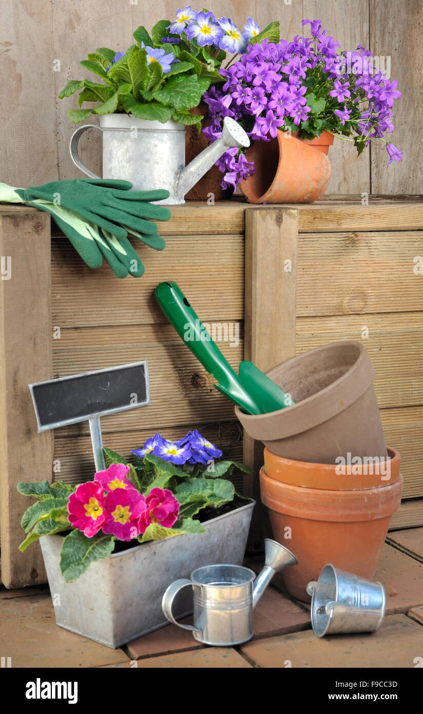 accessories and tool for garden with spring flowers in pot Stock Photo