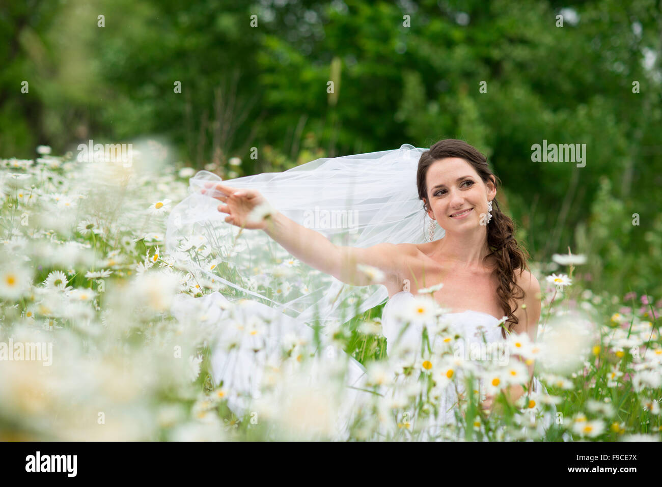 Bride in white wedding dress at the meadow Stock Photo - Alamy
