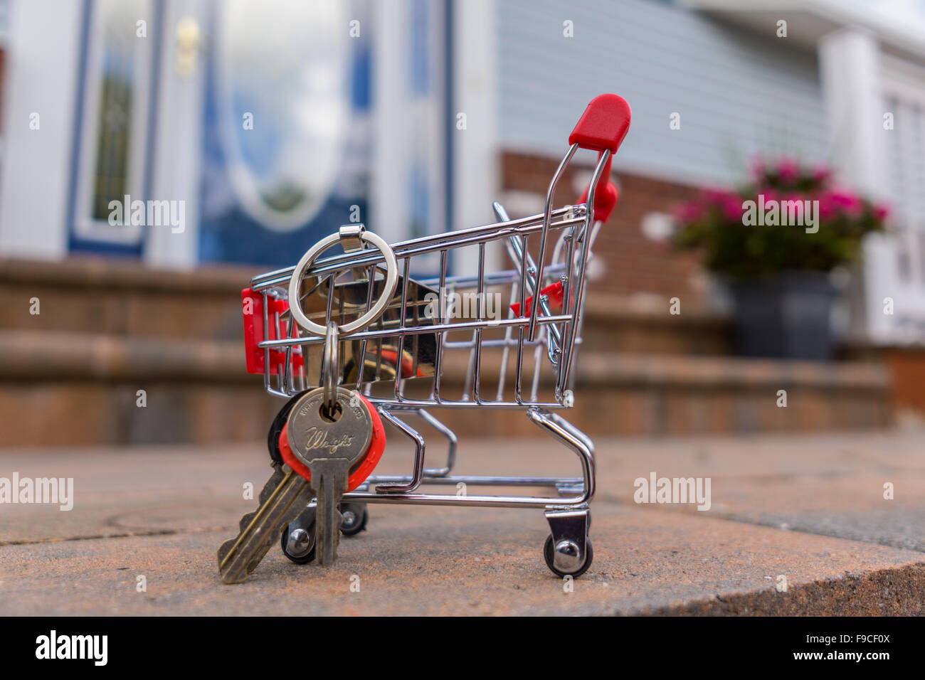 a house shape key chain with keys in a mini shopping cart in fornt of a