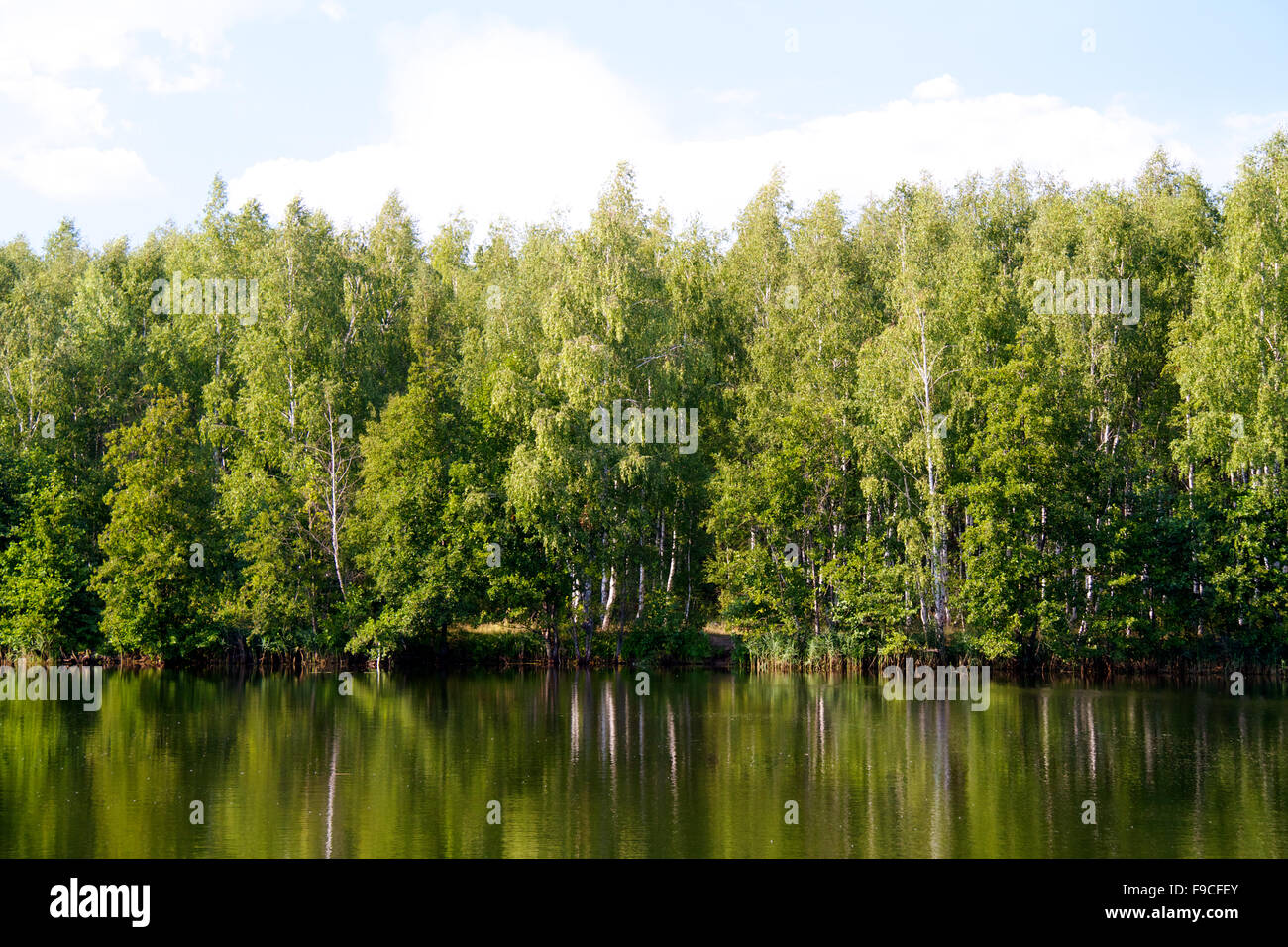 view of the beautiful river and forest Stock Photo - Alamy