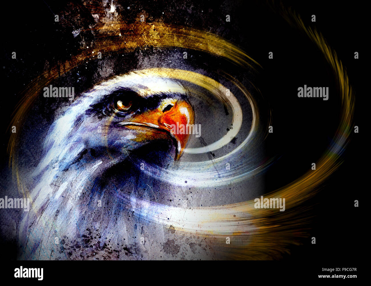 Eagle Eye, fantasy, eagle, abstract, woman, animal, HD wallpaper