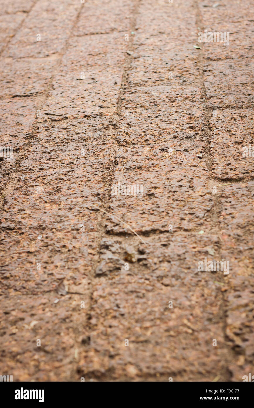 The pattern of laterite walkway in the park, stock photo Stock Photo