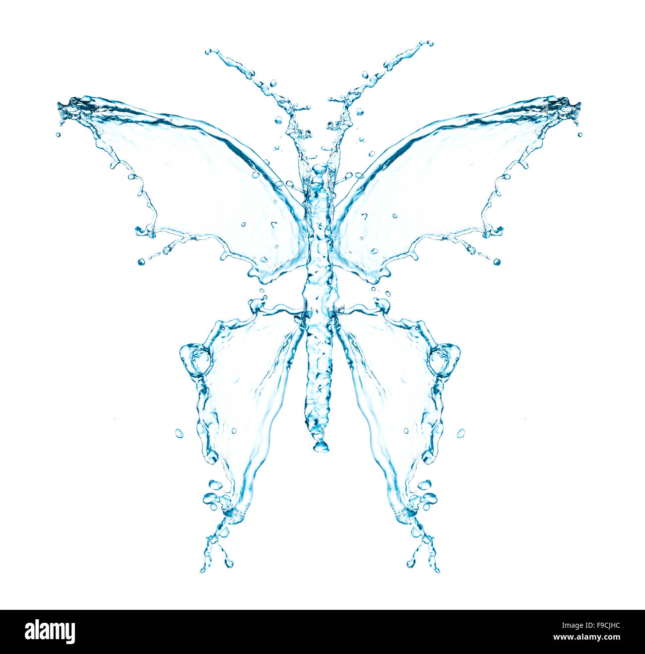 water butterfly isolated on white background Stock Photo