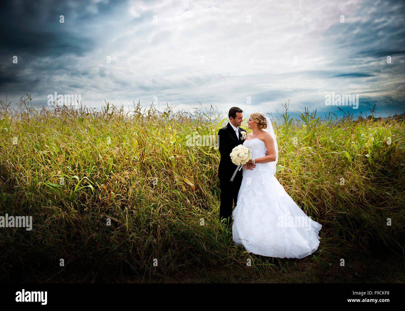 Bride and groom are posing outdoors Stock Photo - Alamy