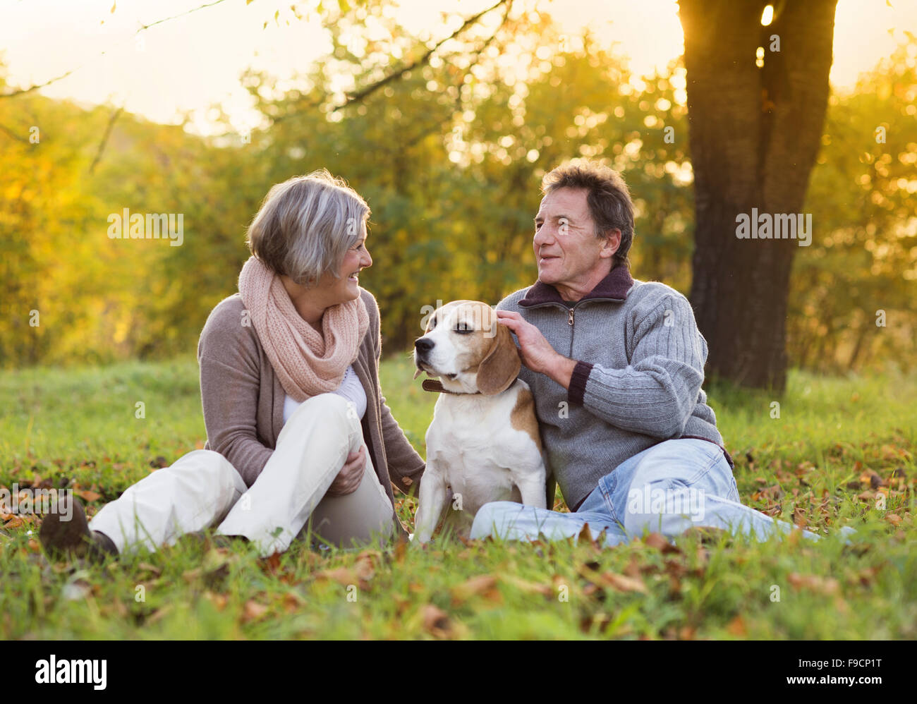 Old couple walking dog hires stock photography and images Alamy