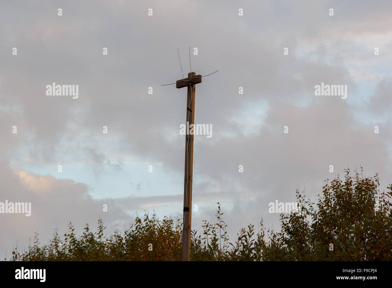 homemade TV antenna on a pole against the evening sky Stock Photo