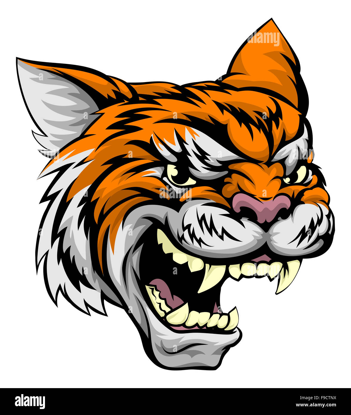 A mean looking tiger sports mascot animal Stock Photo