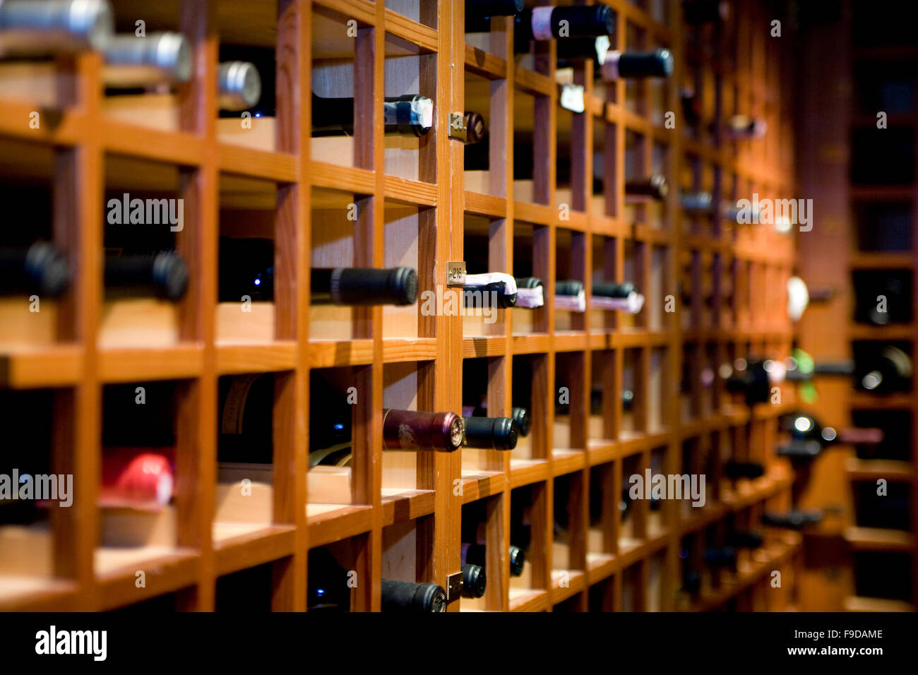 Wine cellar racks Stock Photo Alamy