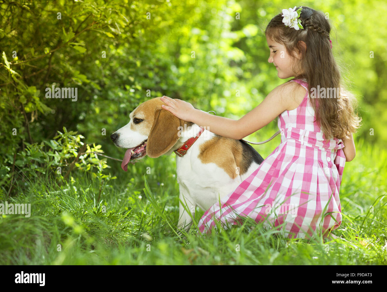 Cute little girl is playing with her dog in the green park Stock Photo ...