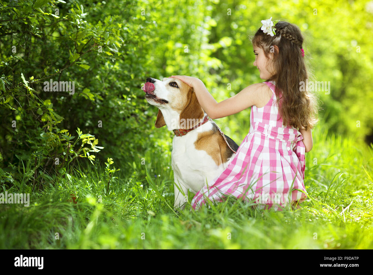 Cute little girl is playing with her dog in the green park Stock Photo ...