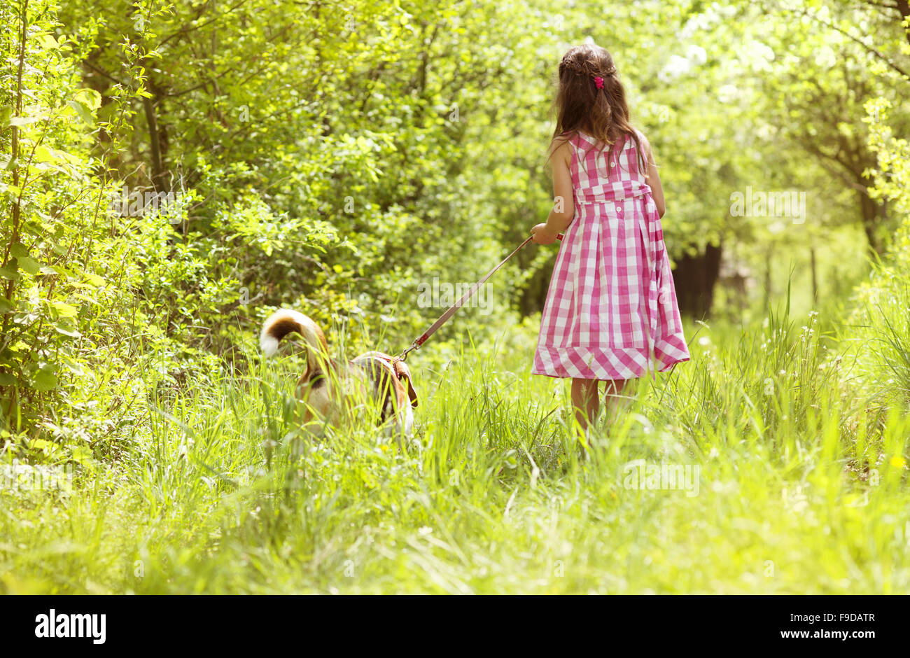 Cute little girl is playing with her dog in the green park Stock Photo ...