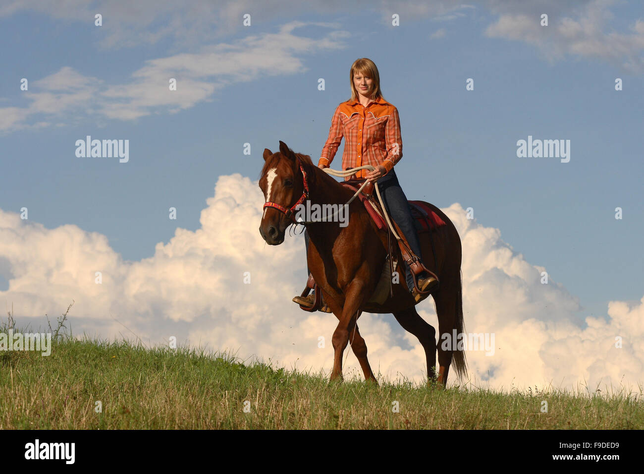 Woman riding a horse Stock Photo