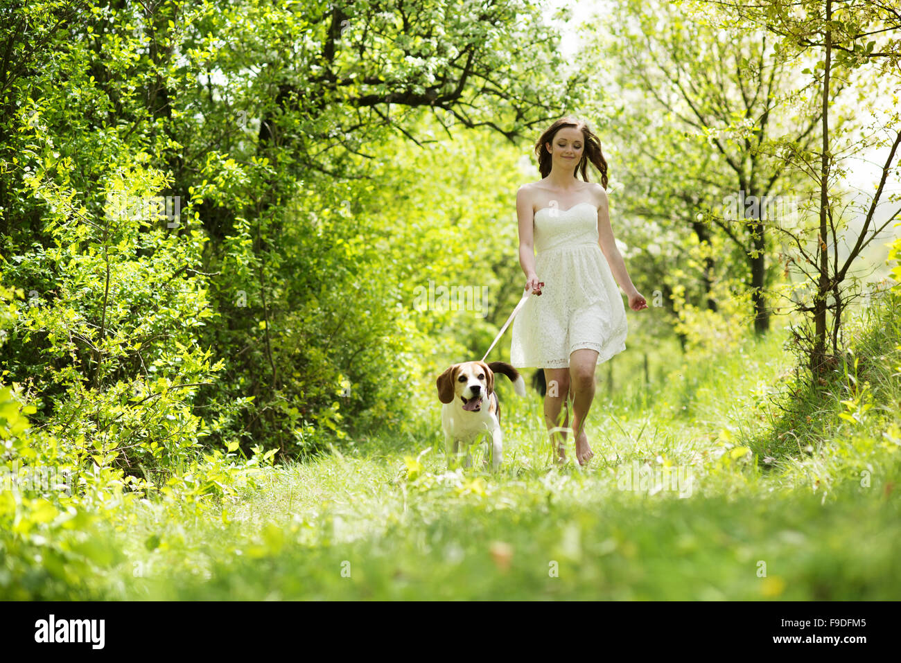 Portrait of a woman with her beautiful dog outdoors Stock Photo - Alamy