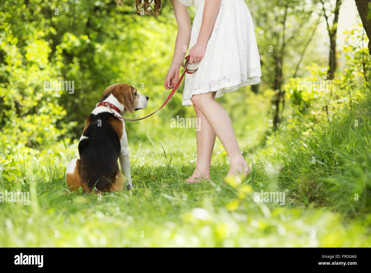 Portrait of a woman with her beautiful dog outdoors Stock Photo - Alamy