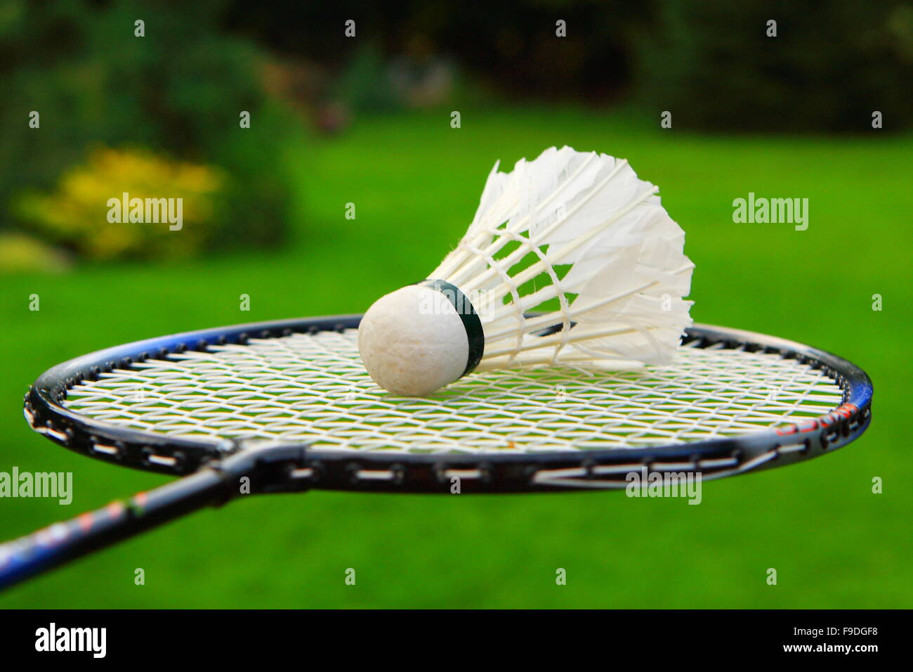 Kit Badminton High Resolution Stock Photography And Images Alamy