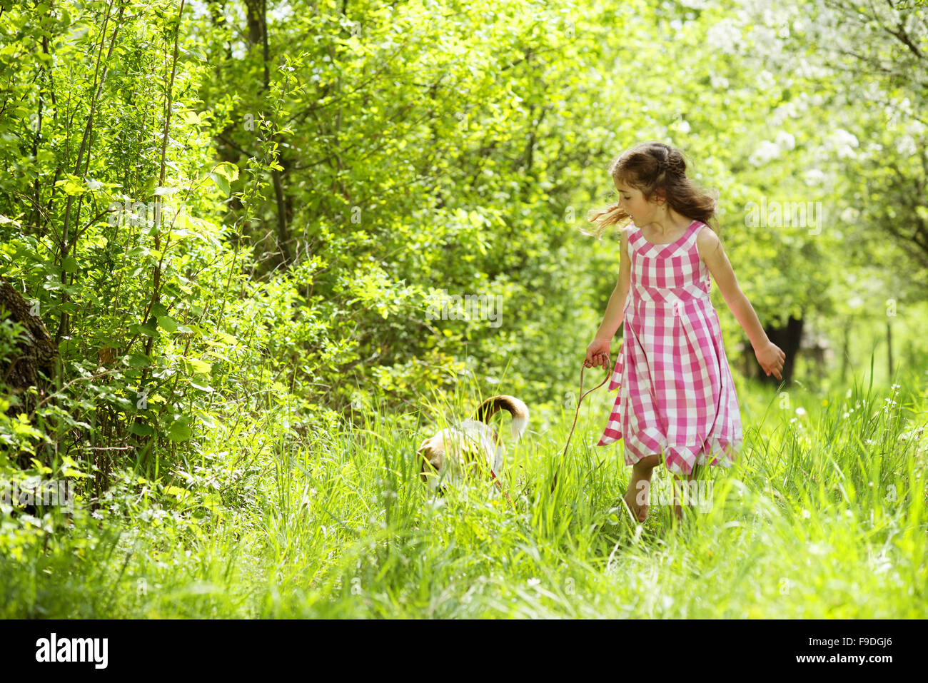 Cute little girl is playing with her dog in the green park Stock Photo ...