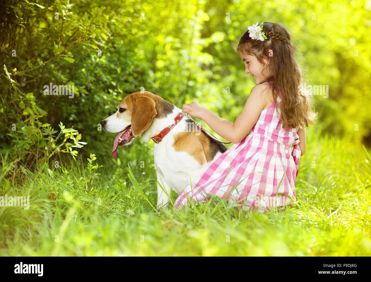 Cute little girl is playing with her dog in the green park Stock Photo ...