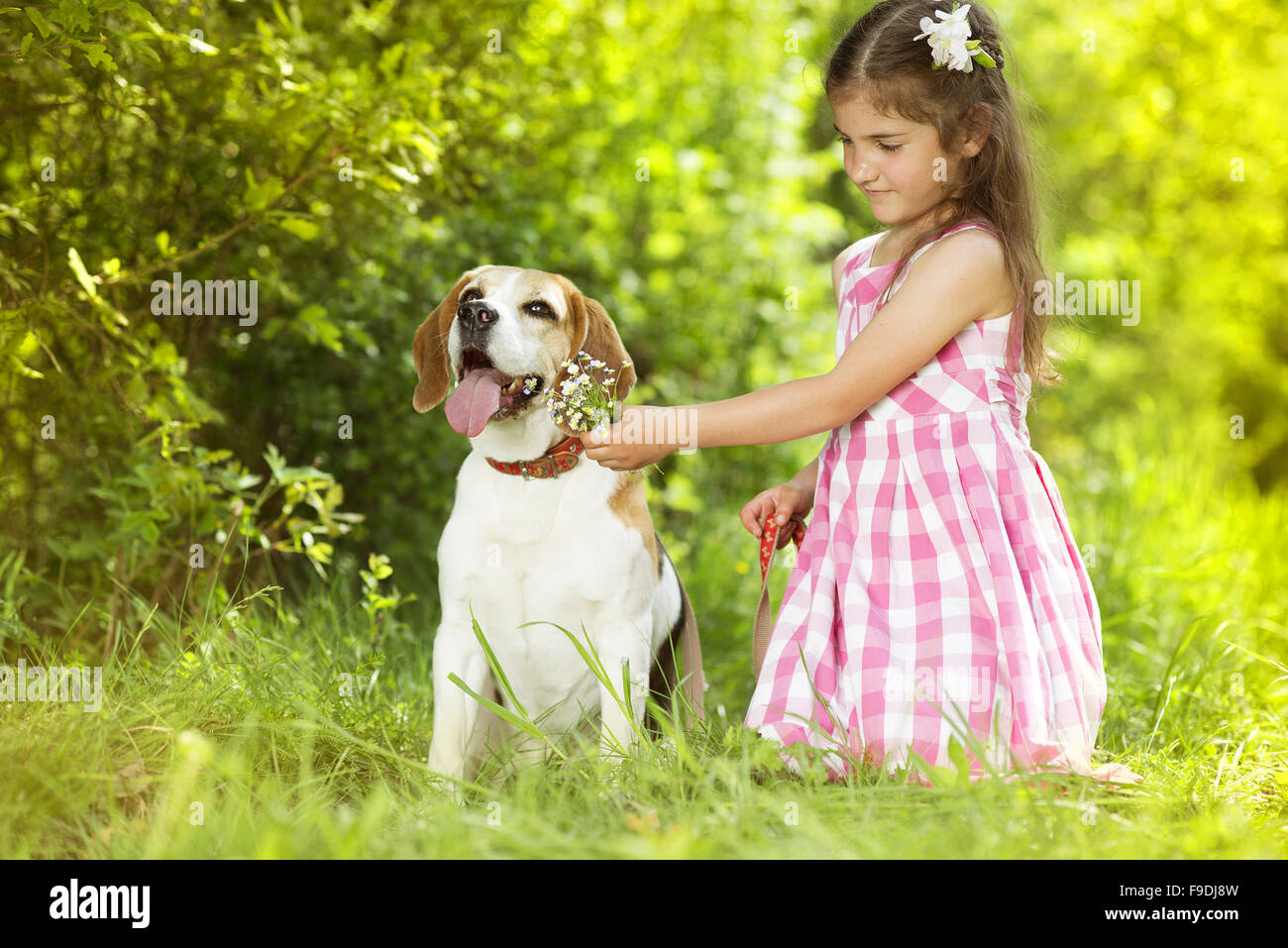 Cute little girl is playing with her dog in the green park Stock Photo ...