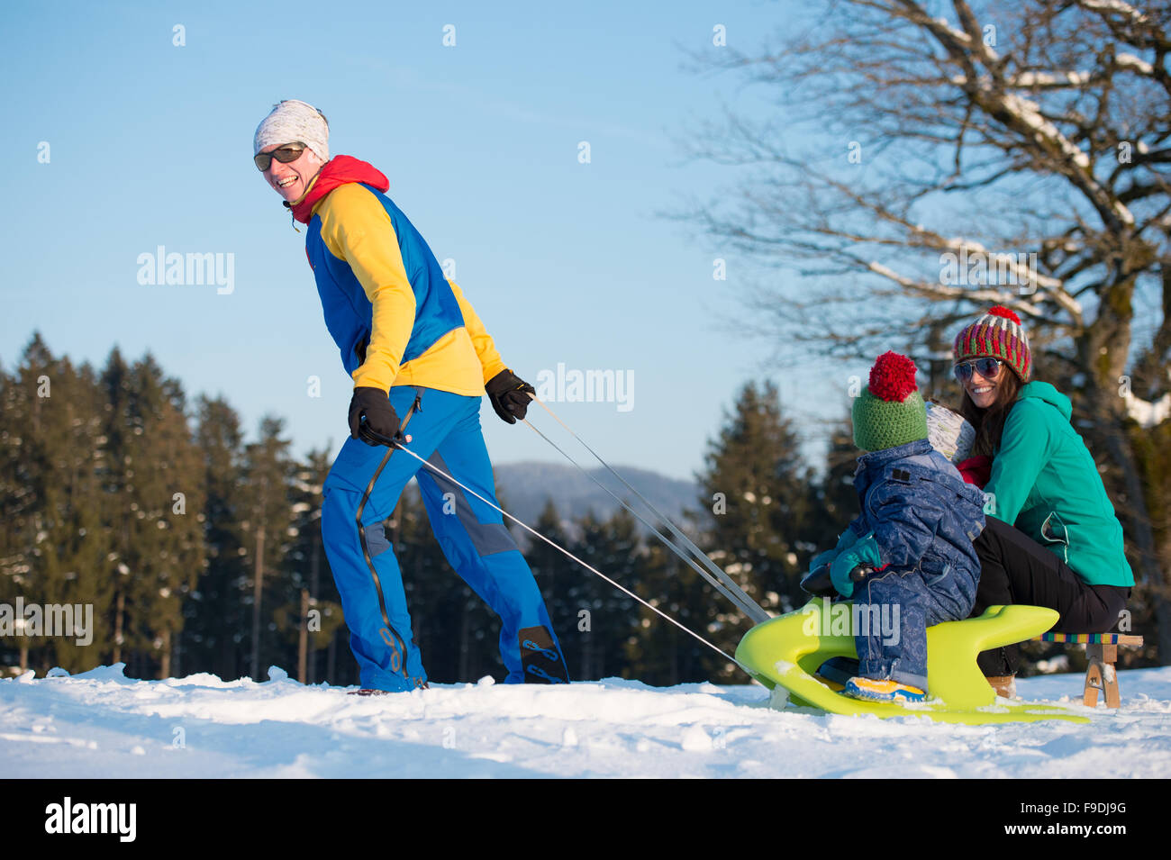 Young family sledging in winter Stock Photo