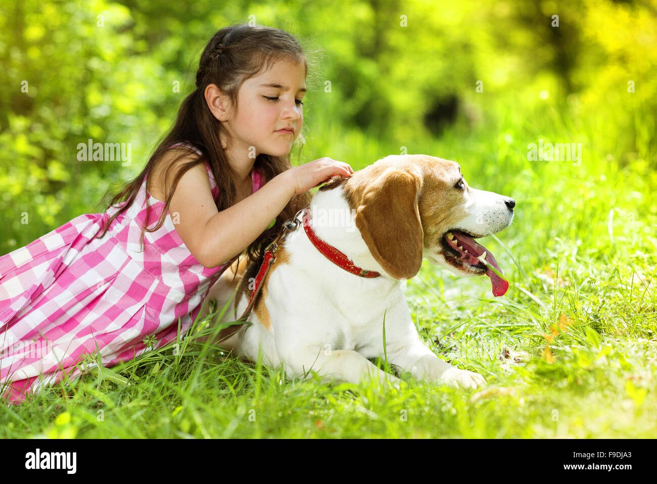 Cute little girl is playing with her dog in the green park Stock Photo ...