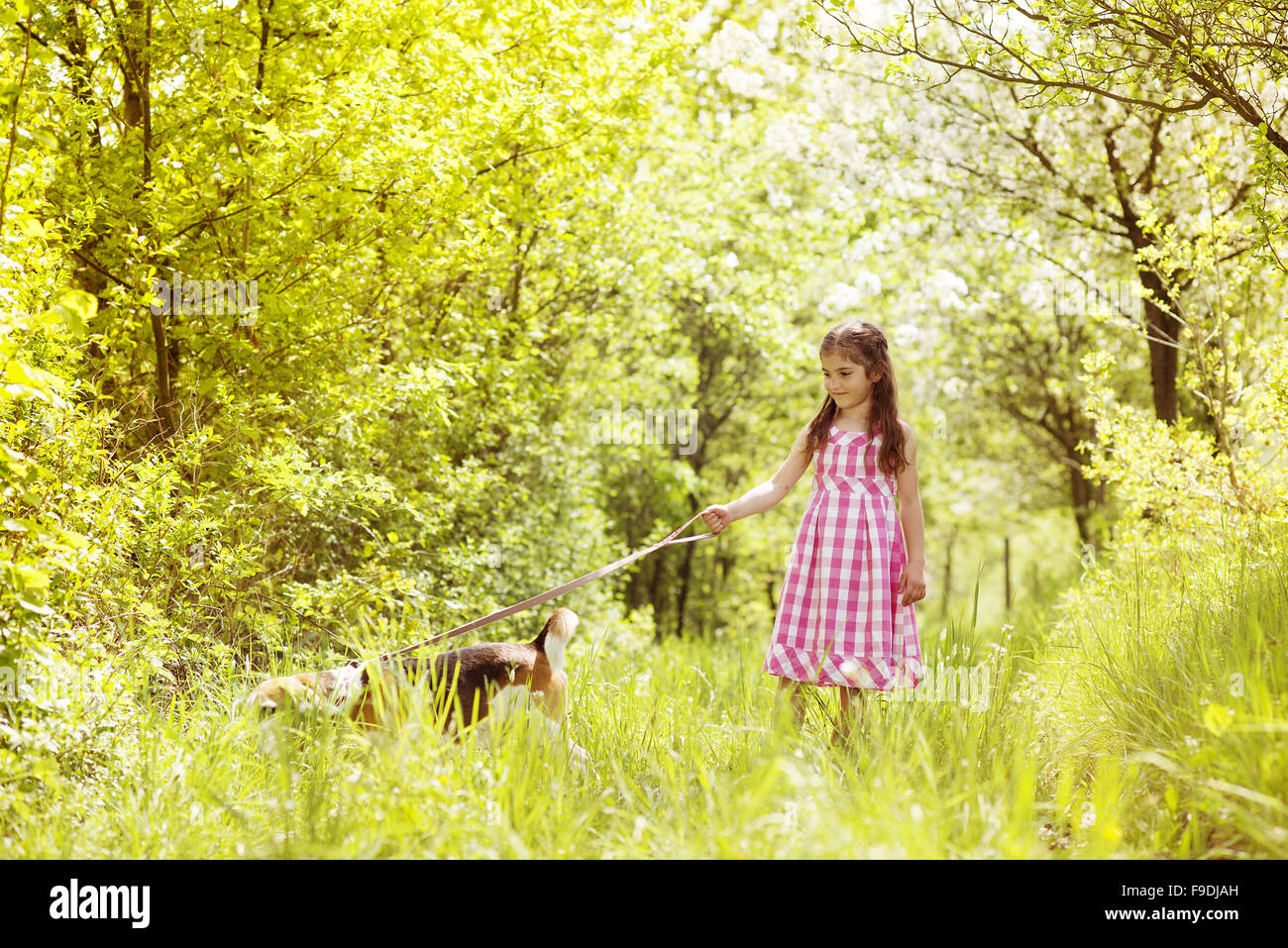Cute little girl is playing with her dog in the green park Stock Photo ...