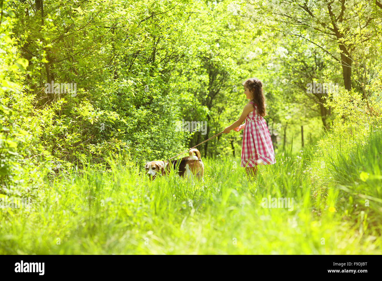 Cute little girl is playing with her dog in the green park Stock Photo ...