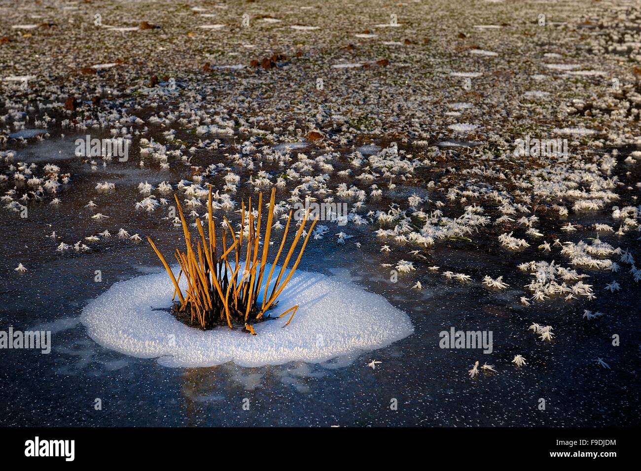Ground frozen hires stock photography and images Alamy