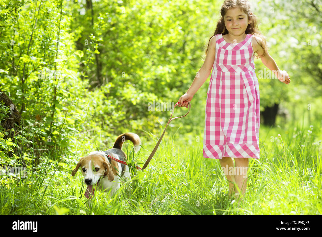Cute little girl is playing with her dog in the green park Stock Photo ...