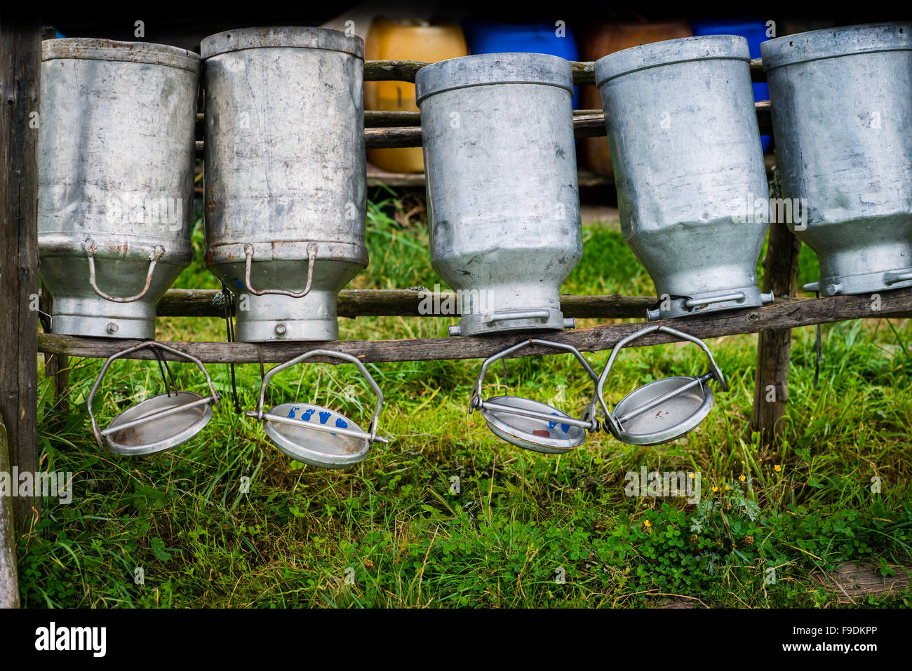 Old Milk Cans Made of Aluminum. Old milk cans made of metal to dry on a wooden stand - upside down Stock Photo