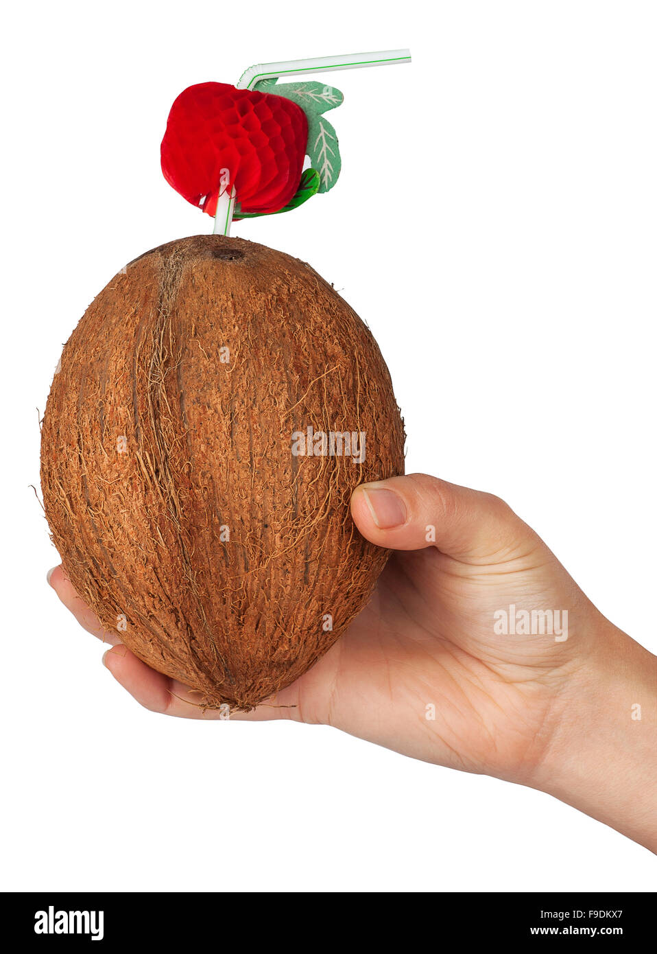 Cocktail in a coconut with a straw in a woman's hand  isolate on white background Stock Photo
