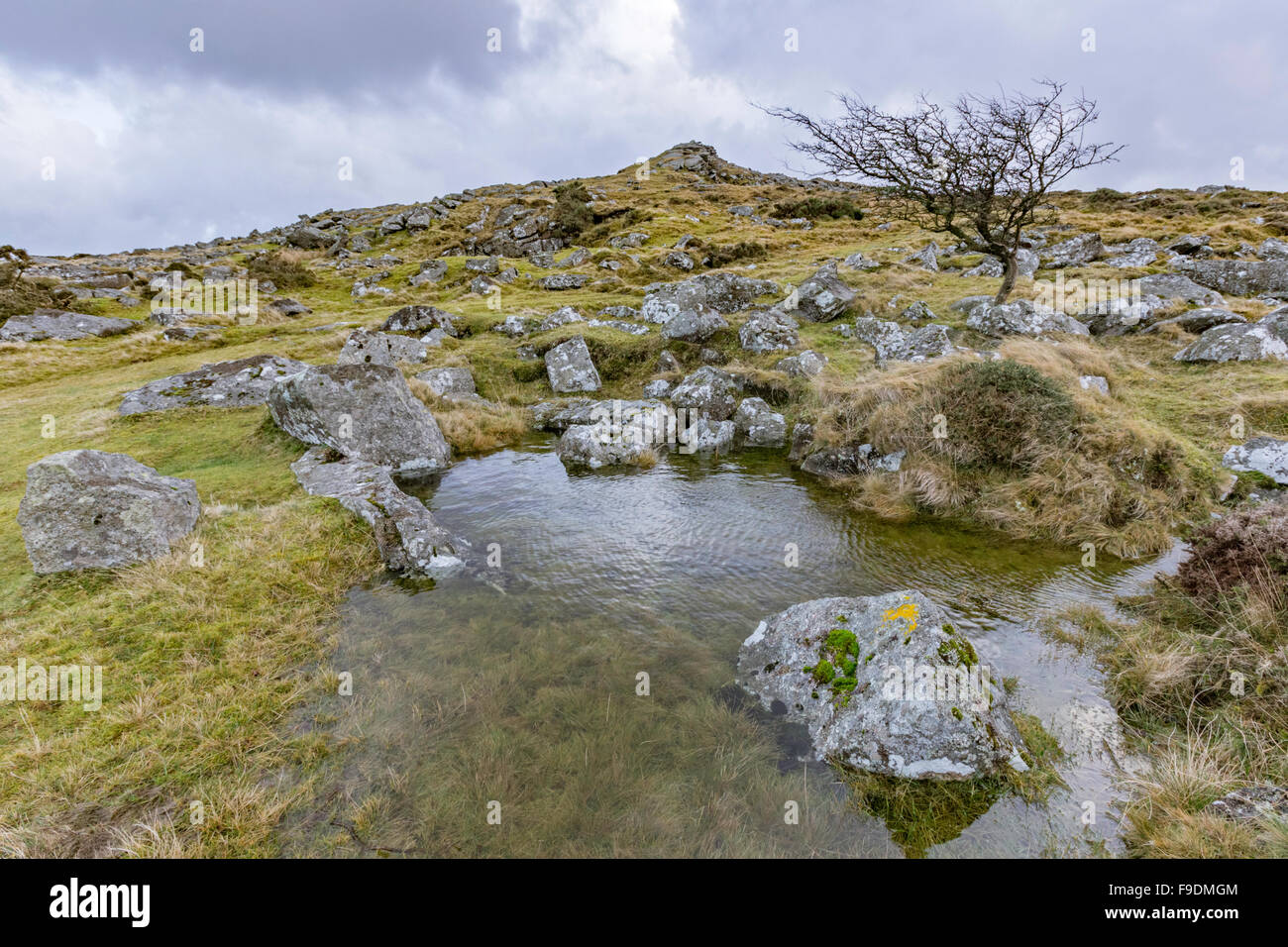 Belstone Common, Dartmoor National Park, Belstone near Oakhampton, Devon, England, UK Stock Photo