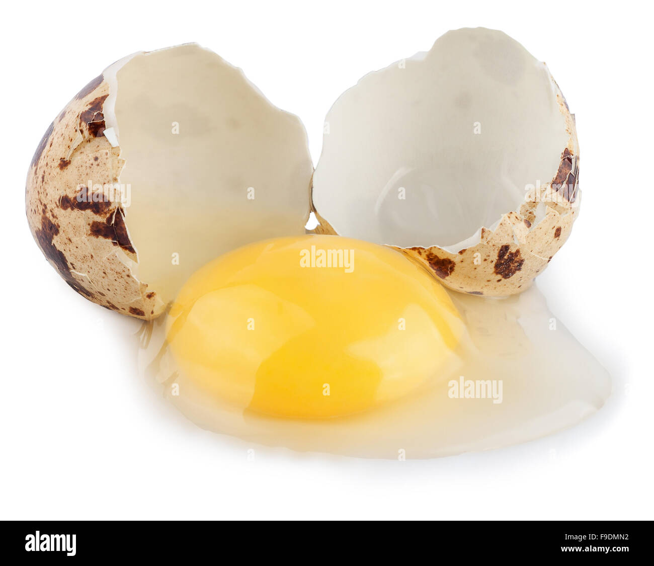 broken quail egg isolated on white background Stock Photo