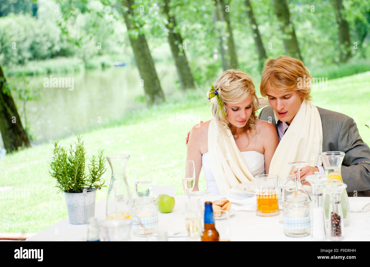 Bride and groom are at the wedding reception Stock Photo - Alamy