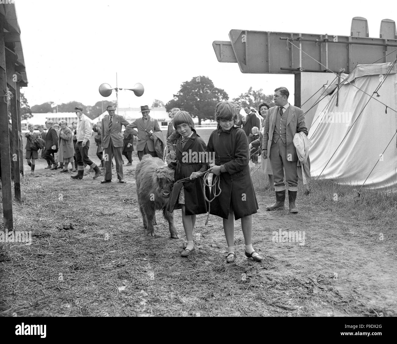 Children leading highland cattle calves at The Royal Agricultural Show in Stoneleigh 1963 Stock Photo