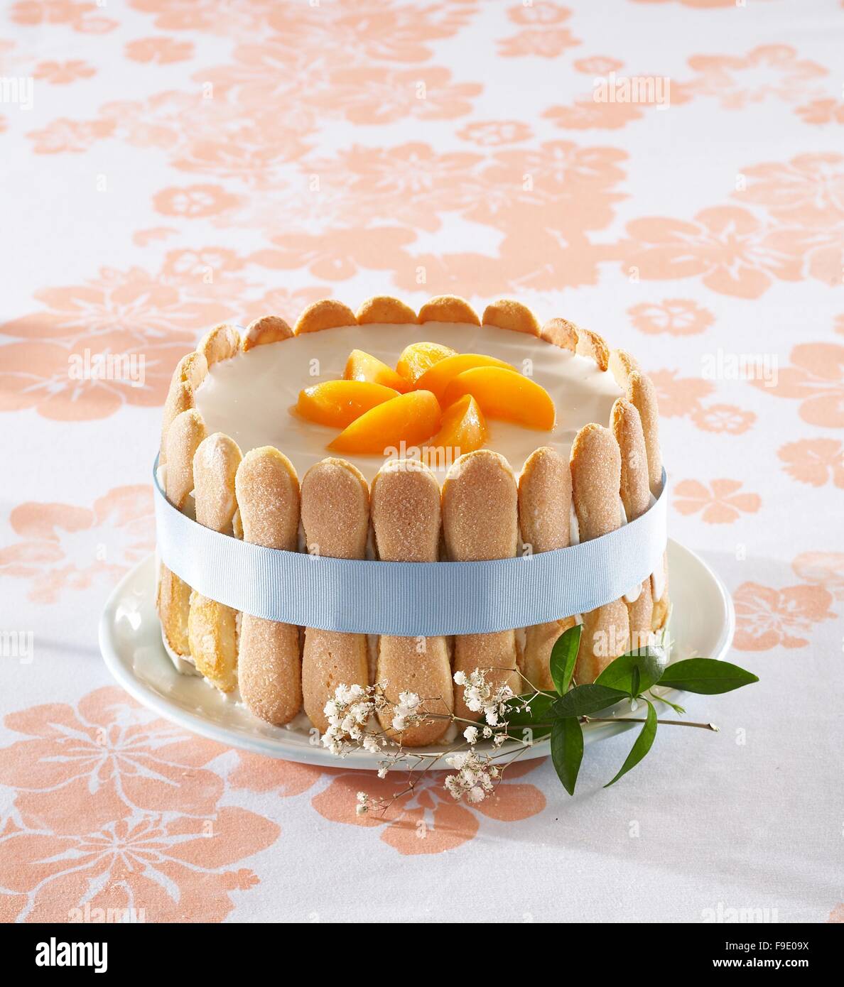 Apricot Charlotte (step by step Stock Photo Alamy