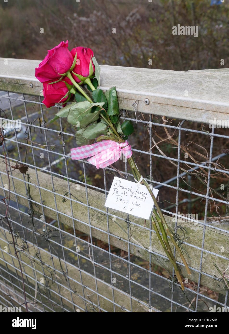 Downend Bridge, Hampshire, UK. 16th Dec, 2015. Attached to Downend Bridge is a single bunch of red roses tied with a pink ribbon, the only reminder of yesterday's tragic accident in which a woman died after falling from the bridge which crosses the M27. The flowers have a small gold card attached to them with the words “Dearest Lucy Be at Peace Daz and Jac XX”, a poignant reminder of a tragic waste of life. Police closed two lanes of the motorway on Tuesday afternoon and motorists endured traffic chaos. Credit:  uknip/Alamy Live News Stock Photo