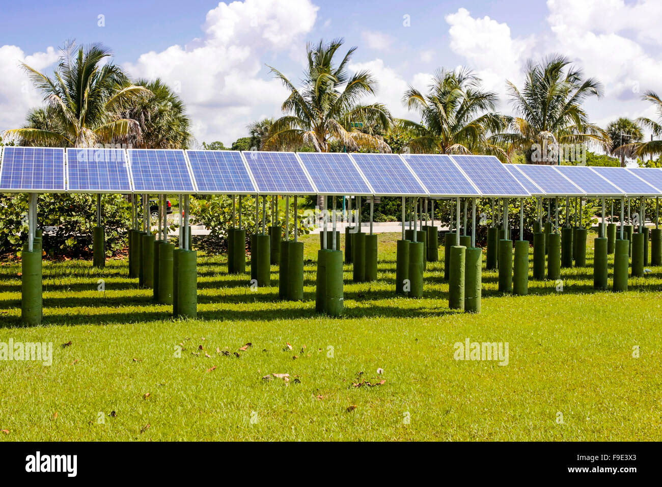 Rows of Solar Panels pointing up to the sunny skies over Florida Stock Photo
