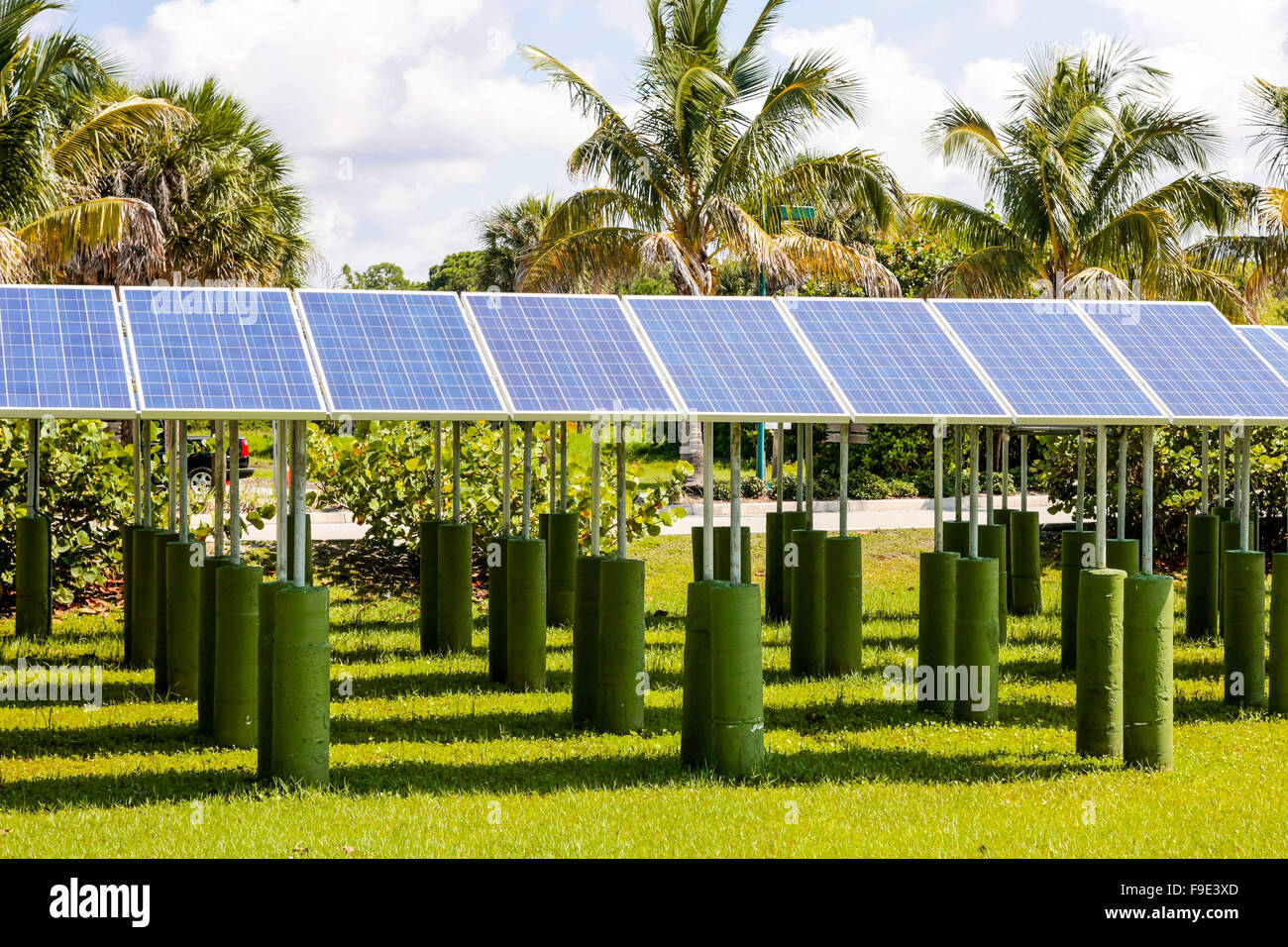 Rows of Solar Panels pointing up to the sunny skies over Florida Stock ...