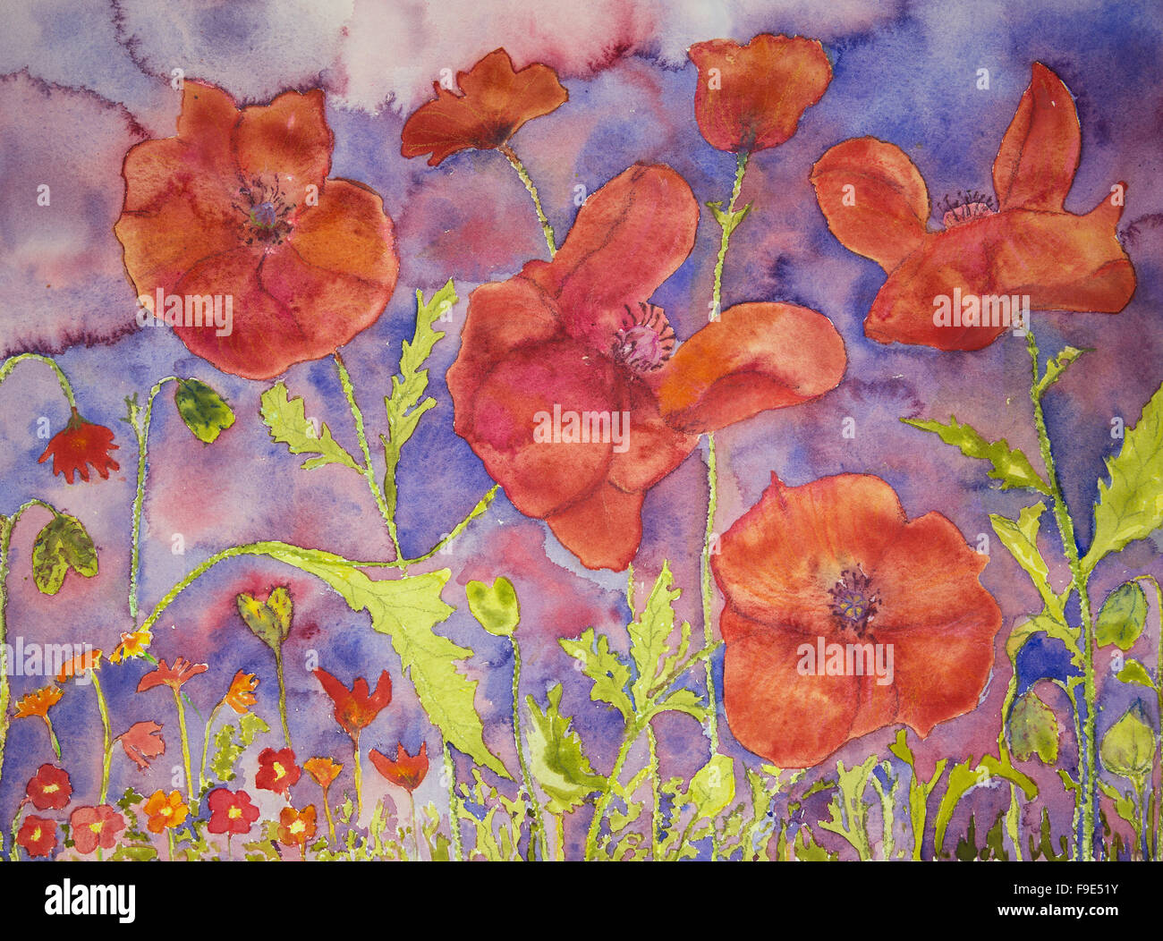 Dense field of poppies Stock Photo Alamy
