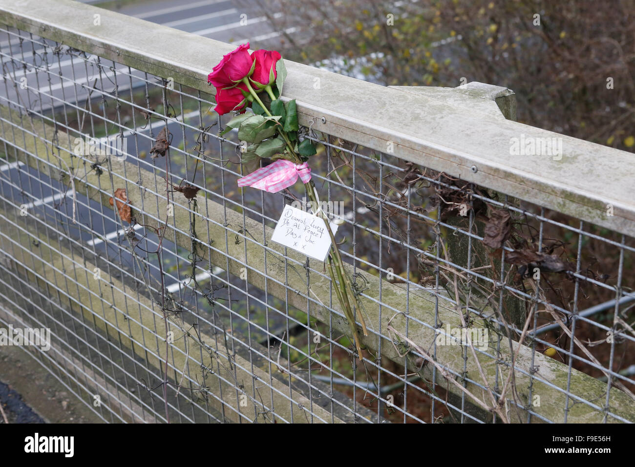 Downend Bridge, Hampshire, UK. 16th Dec, 2015. Attached to Downend Bridge is a single bunch of red roses tied with a pink ribbon, the only reminder of yesterday's tragic accident in which a woman died after falling from the bridge which crosses the M27. The flowers have a small gold card attached to them with the words “Dearest Lucy Be at Peace Daz and Jac XX”, a poignant reminder of a tragic waste of life. Police closed two lanes of the motorway on Tuesday afternoon and motorists endured traffic chaos. Credit:  uknip/Alamy Live News Stock Photo