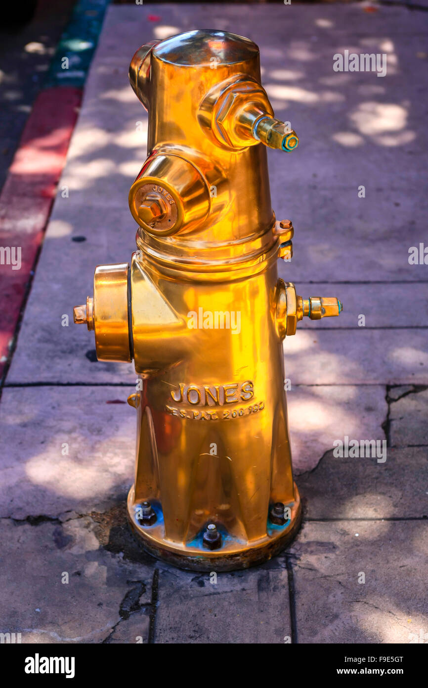 Polished brass fire hydrant belonging to the Santa Barbara Fire Dept