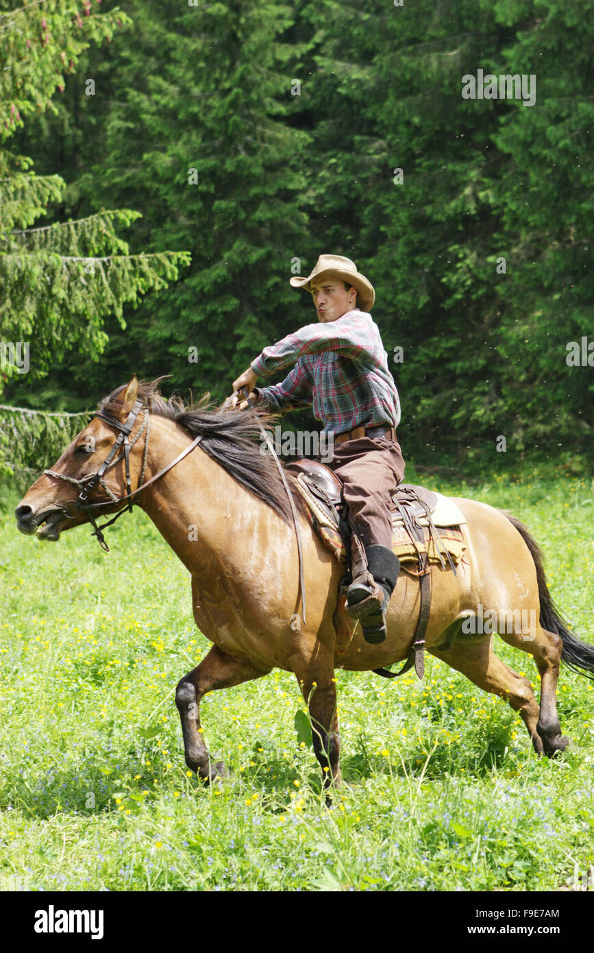 Cowboy Riding Horse Stock Photo - Alamy