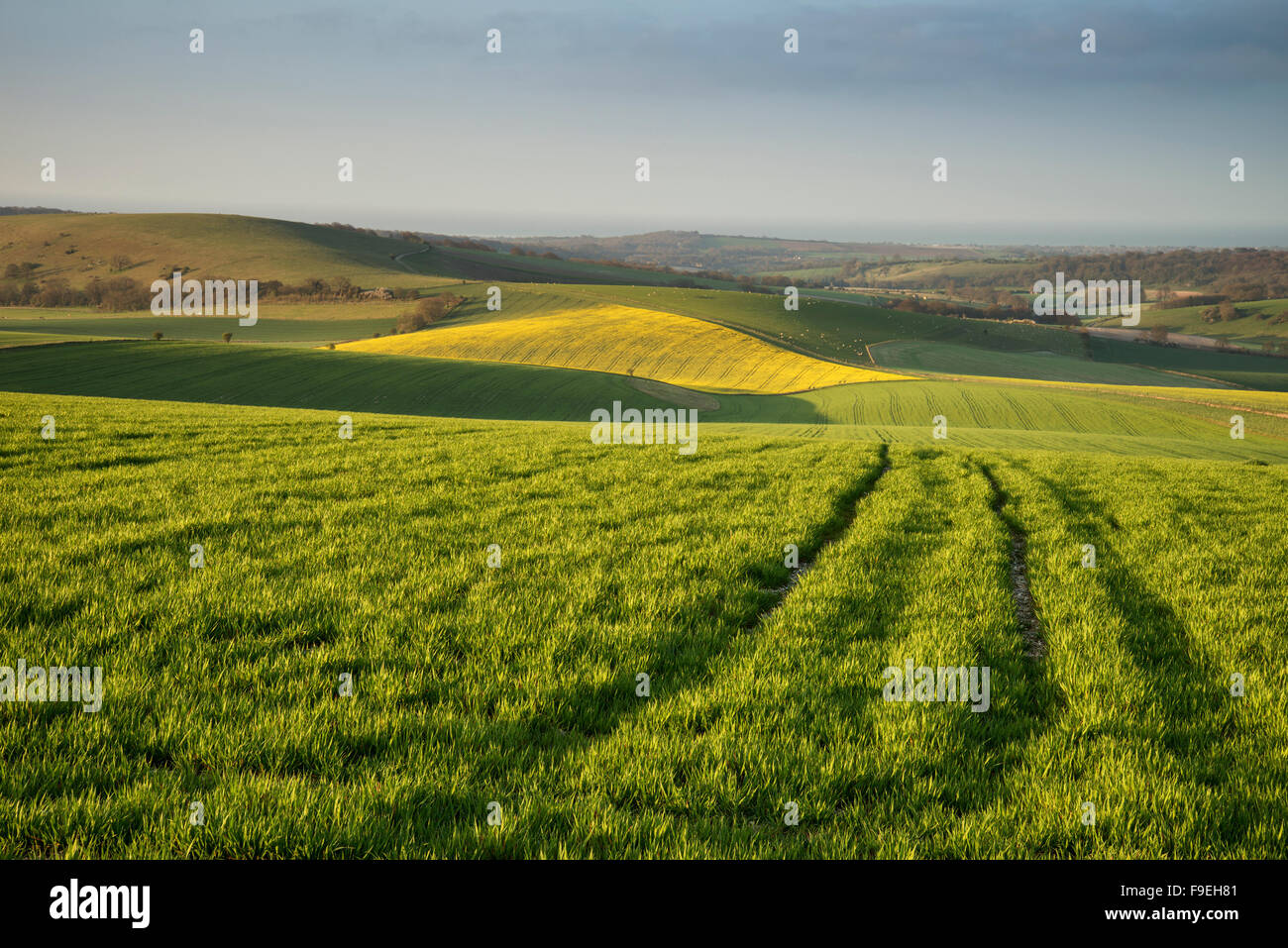 Spring morning over agricultural landscape in English countryside Stock Photo