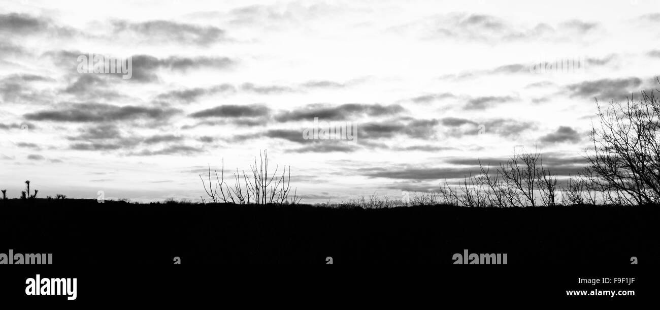 Black and white photo of the sunset in the rural land Stock Photo - Alamy