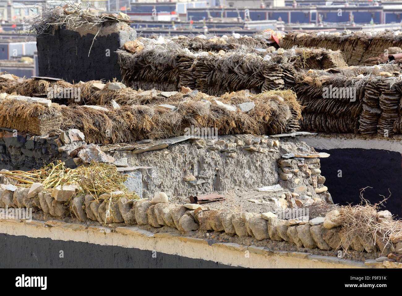 Sun drying dung-rooftops of town homes-Sakya town on Trum or Chong Chu river-grounds of the 1073 AD+1268 AD built N.+S.monastery Stock Photo