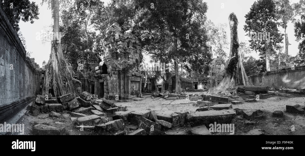 Black and white panorama of Ta Prohm, Angkor, Cambodia Stock Photo